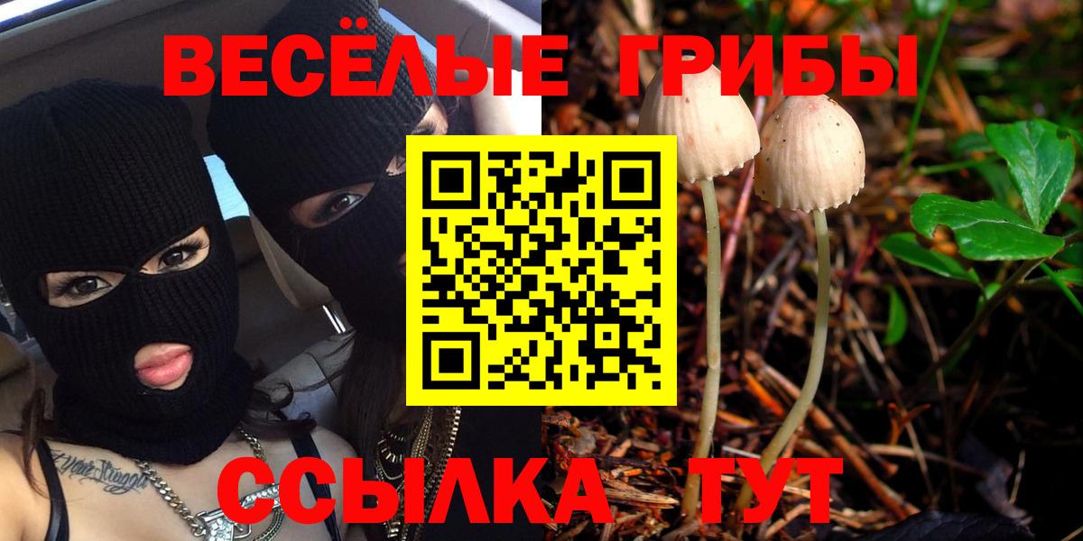 Галлюциногенные грибы ЛСД Мыски